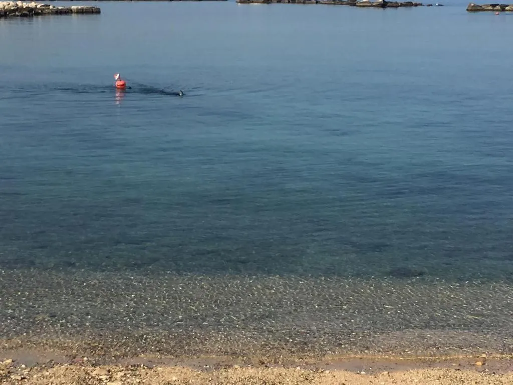 바리 La Mia Terrazza Sul Mare - Mared'Amare 아파트